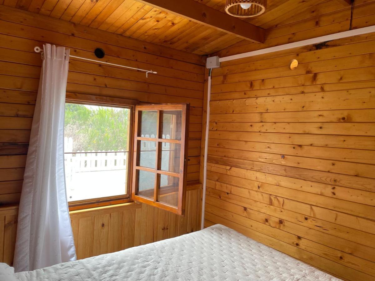 Agradable Mini Casa De Madera Con Jardin Amplio Chalet